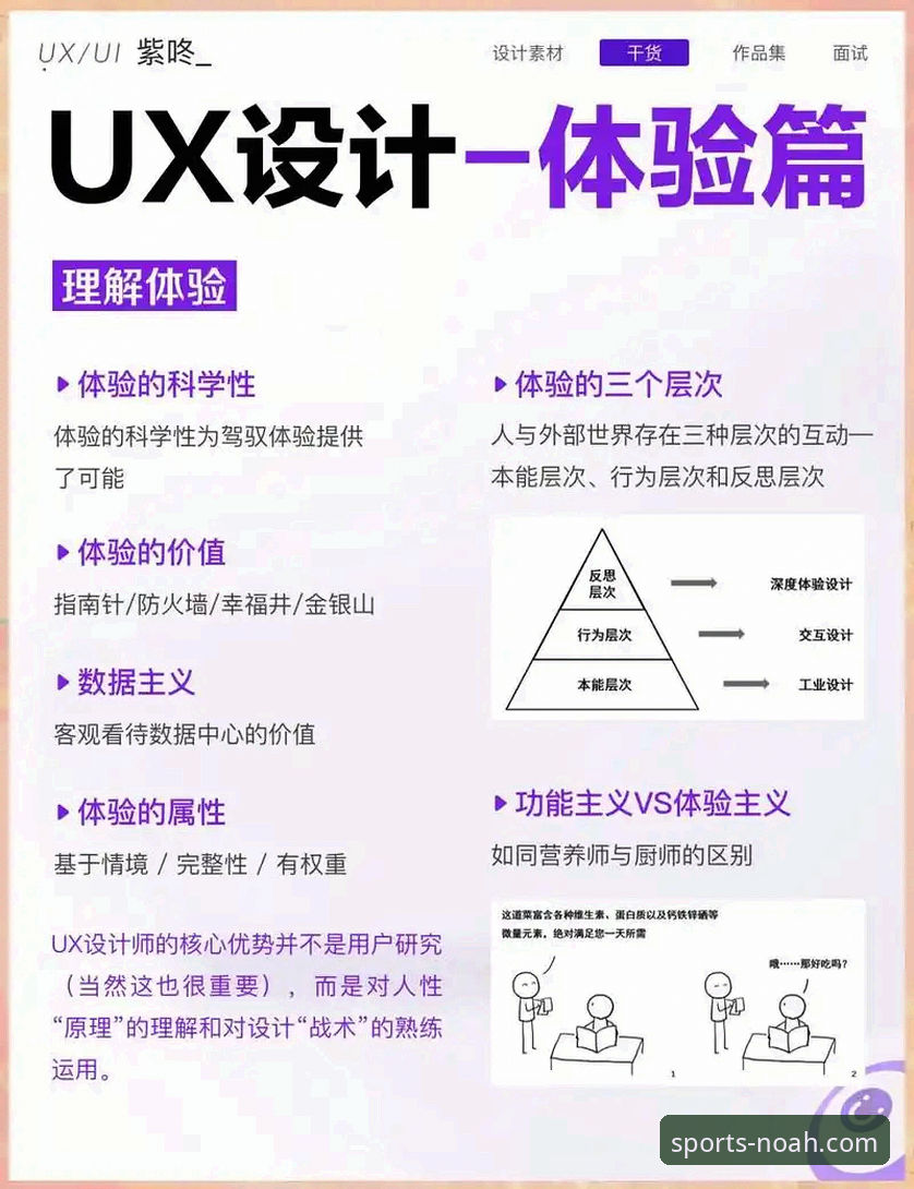 诺亚体育平台功能与用户体验深度分析：从下载到日常使用的全面评估